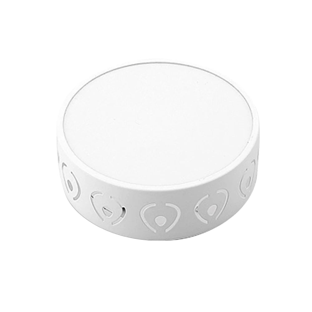 Alloet CrystalGlow™ Ceiling Light