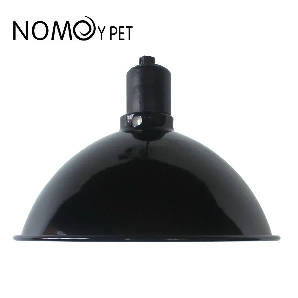 Elysian Wall Light