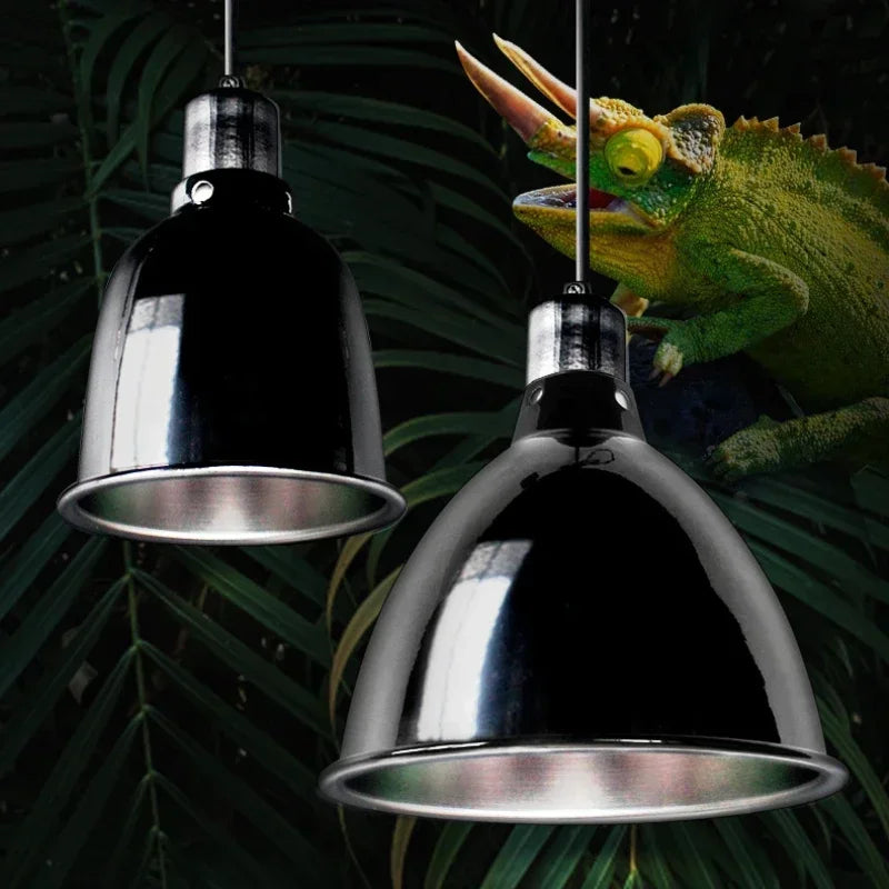 Elysian Wall Light